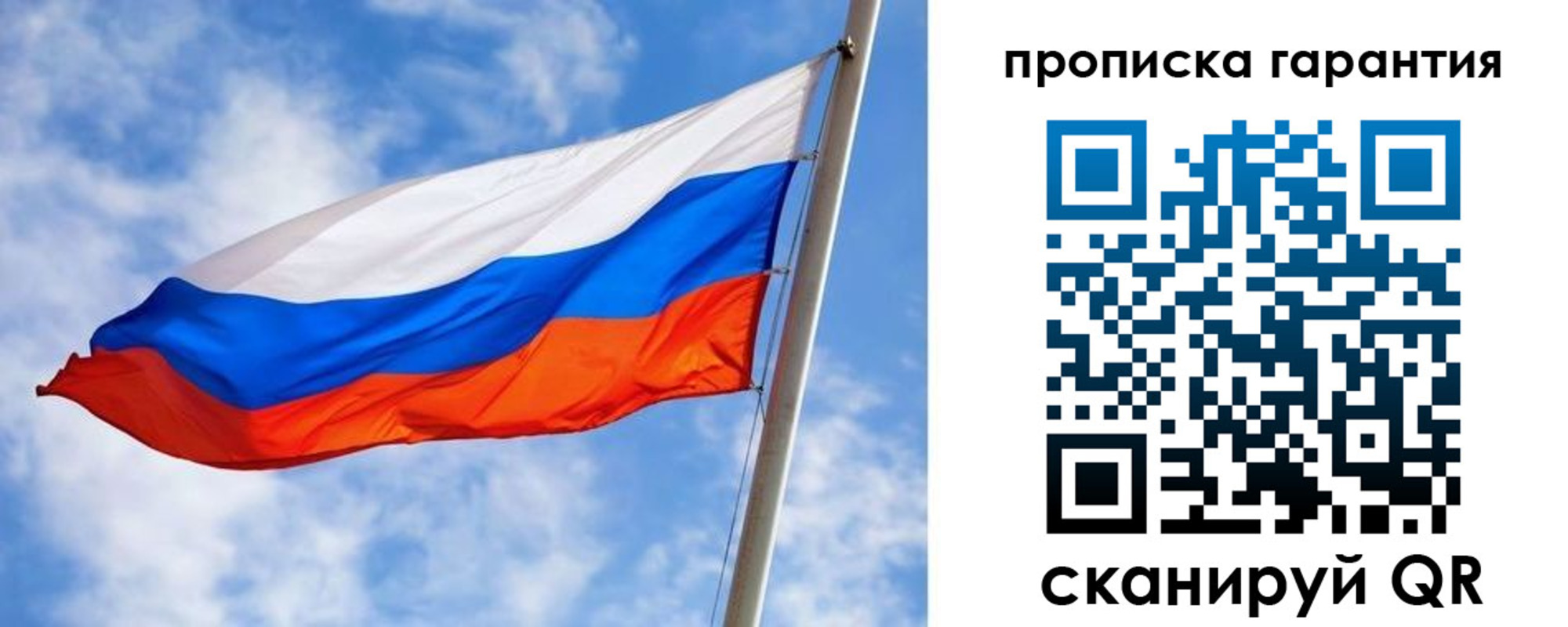 прописка гарантия в Кингисеппе